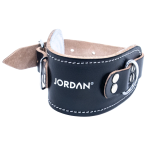 Leather ankle straps