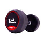 12.5kg Rubber Dumbbells (Solid Ends) pair