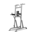 Chin/Dip/Knee Raise - oval steel frame, Grey
