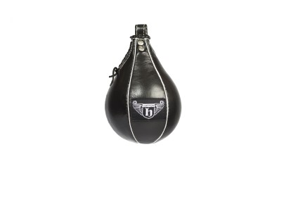 Hatton speed ball