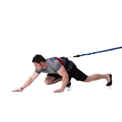 Double Swivel Viper Belt (includes 2 Pro Flexi-cords)