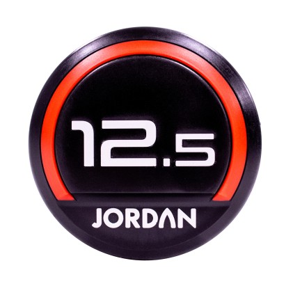 12.5kg Urethane dumbbells (pair)