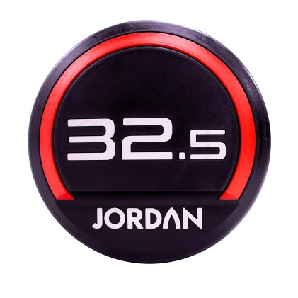32.5kg Urethane dumbbells (pair)