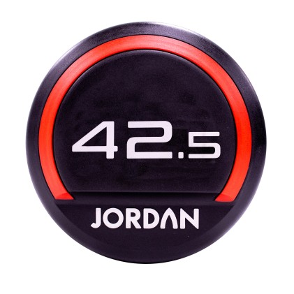42.5kg Urethane dumbbells (pair)