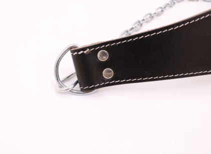 Jordan Weight Lifting Dipping Belt