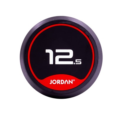 12.5kg Rubber Dumbbells (Solid Ends) pair