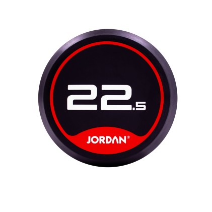 22.5kg Rubber Dumbbells (Solid Ends) pair