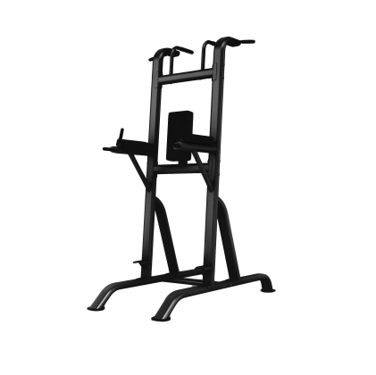 Chin/Dip/Knee Raise - oval steel frame, Black